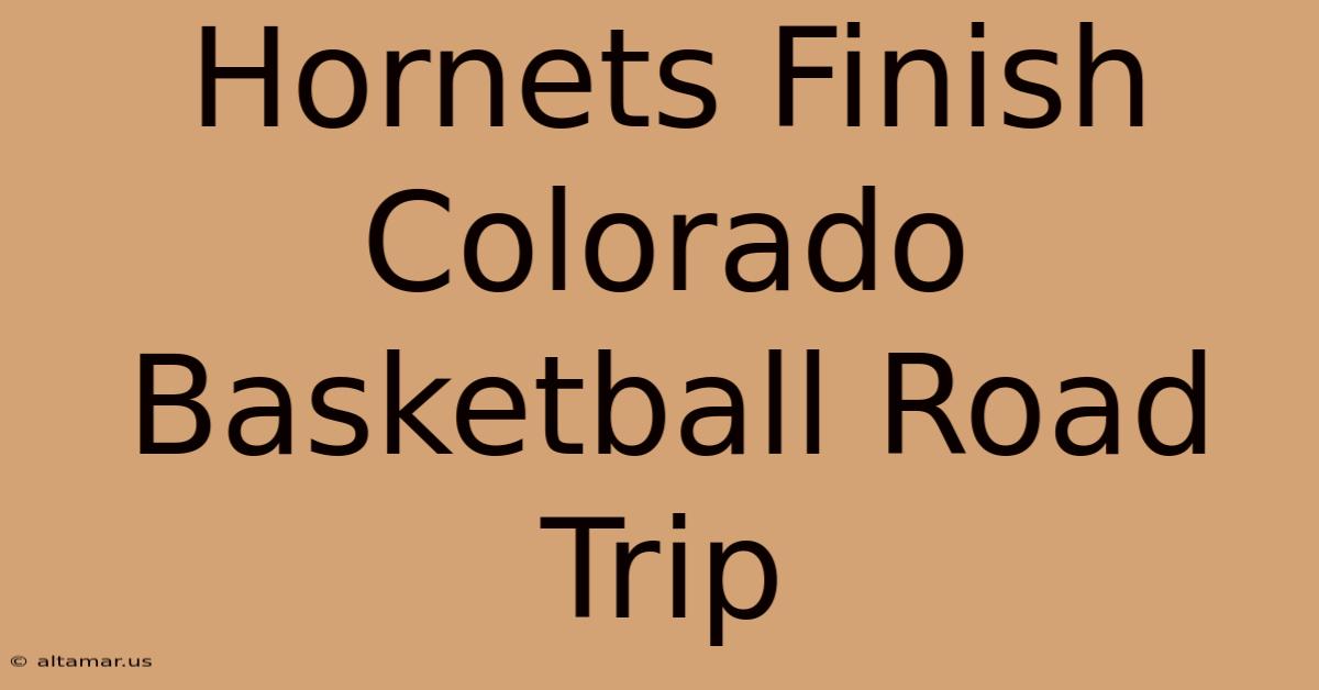 Hornets Finish Colorado Basketball Road Trip