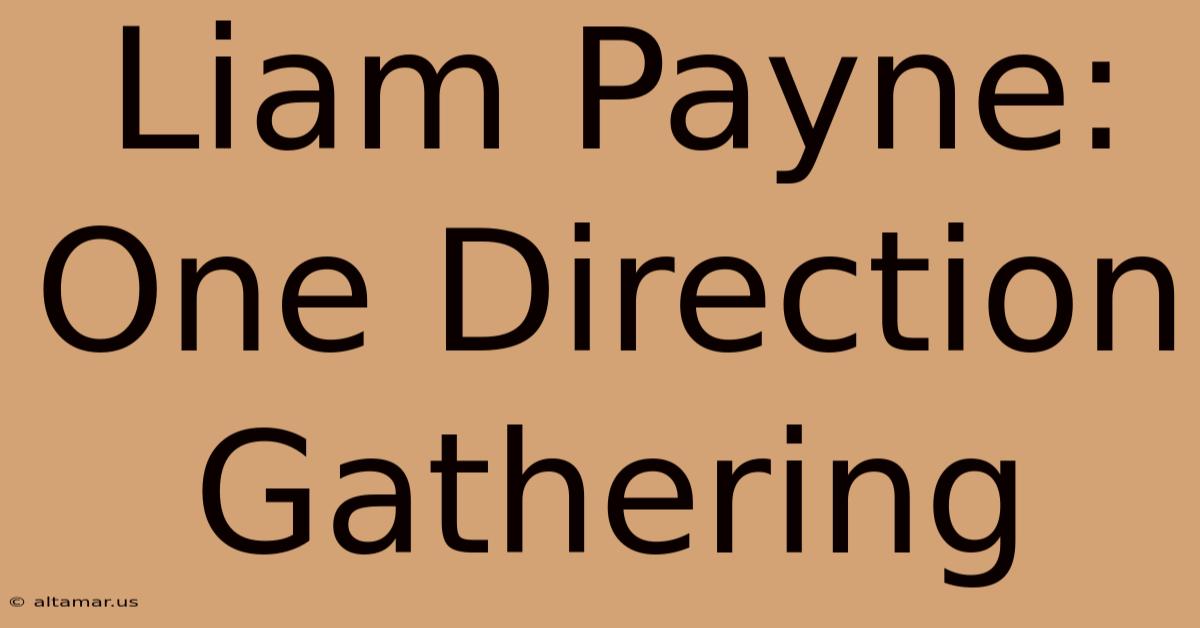 Liam Payne: One Direction Gathering