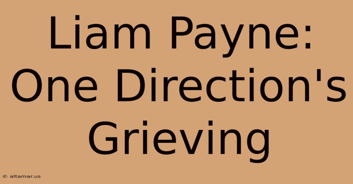 Liam Payne: One Direction's Grieving