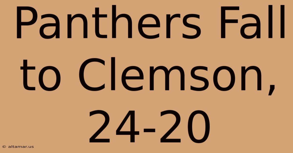 Panthers Fall To Clemson, 24-20