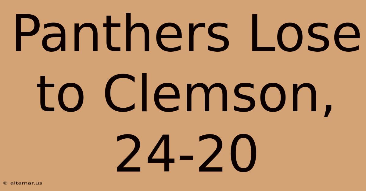 Panthers Lose To Clemson, 24-20