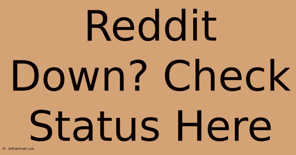 Reddit Down? Check Status Here