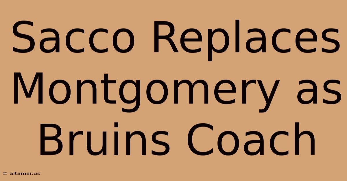 Sacco Replaces Montgomery As Bruins Coach