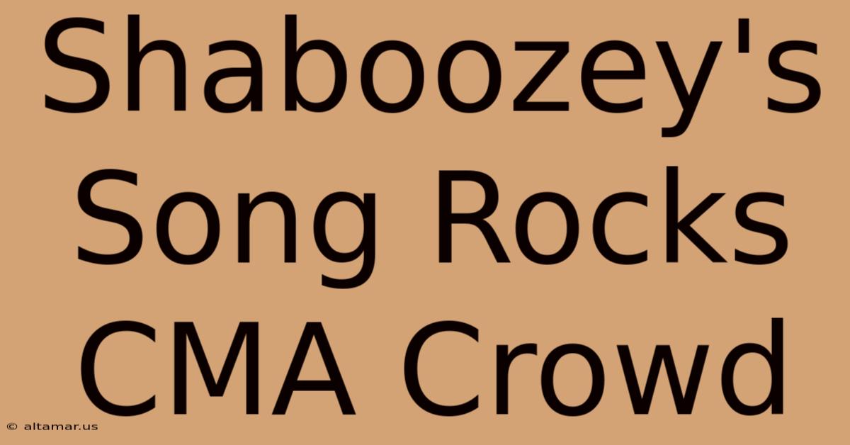 Shaboozey's Song Rocks CMA Crowd