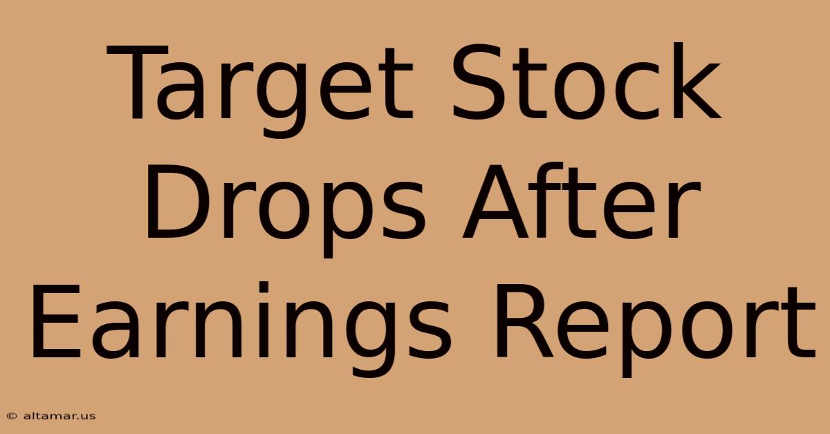 Target Stock Drops After Earnings Report