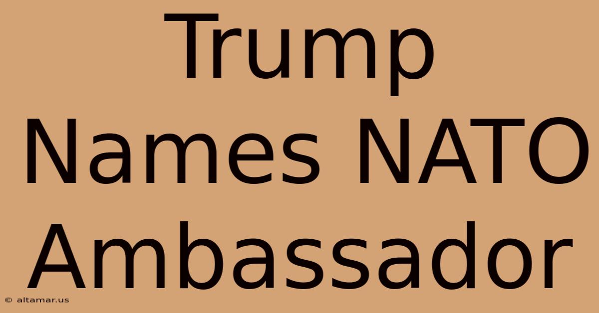 Trump Names NATO Ambassador