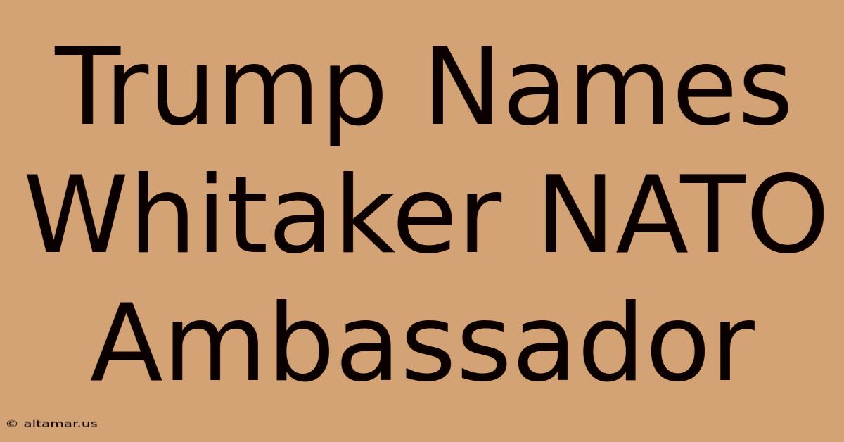 Trump Names Whitaker NATO Ambassador