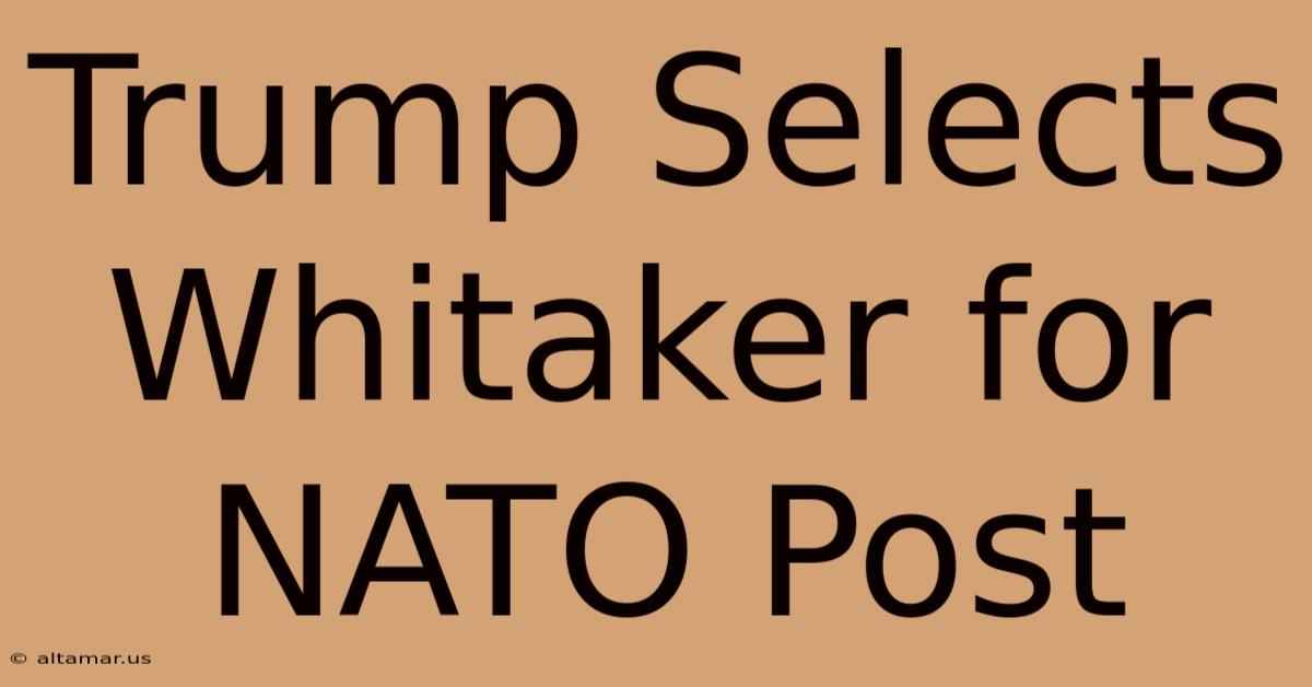 Trump Selects Whitaker For NATO Post