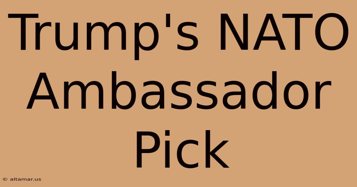 Trump's NATO Ambassador Pick