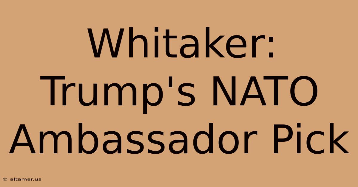 Whitaker: Trump's NATO Ambassador Pick